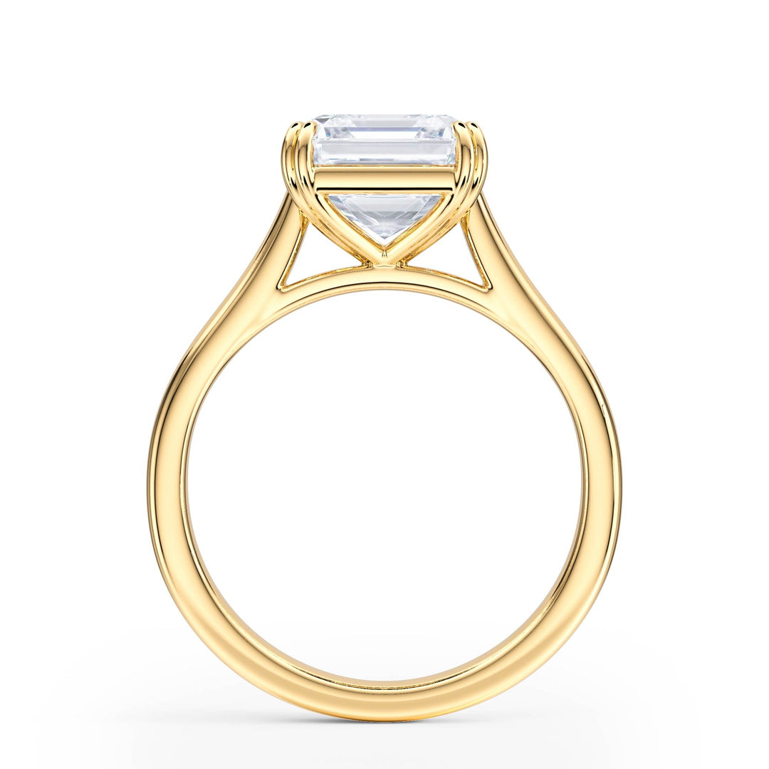 Elevé Cathedral Asscher Diamond Engagement Ring - R1234 in Ring by 18 KARATS INC.